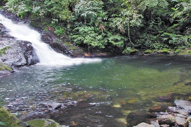 Trilhas e Sertões Praia de Camburi Trilhas e Sertões Praia de Camburi